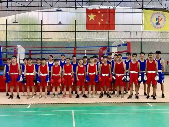 【聚焦教育】贵定四中学生参加州运会拳击比赛成绩优异