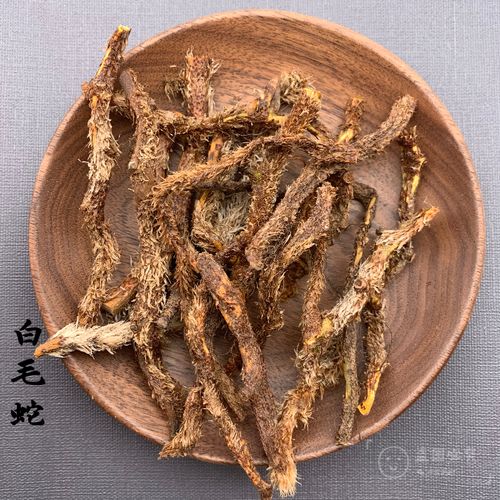 冷背野生中草药白毛蛇根中药材白毛骨碎补阴石蕨石奇蛇石蚕老鼠尾