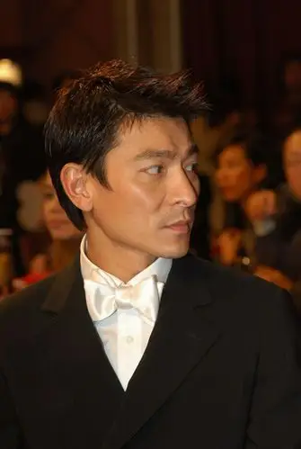 图文:刘德华西装笔挺双目斜睨搜索"敌情"