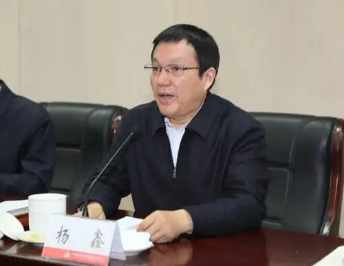 杨鑫加大力度强化震慑坚决查处侵害群众利益的不正之风和腐败问题