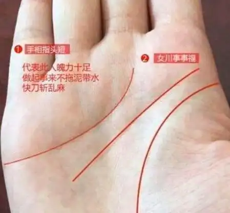 事业线在手相中的作用很重要!师傅教你这样给自己算命!