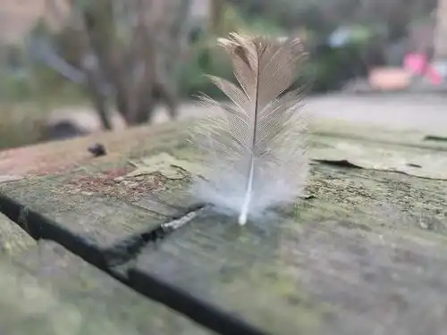 总之, 一地鸡毛!