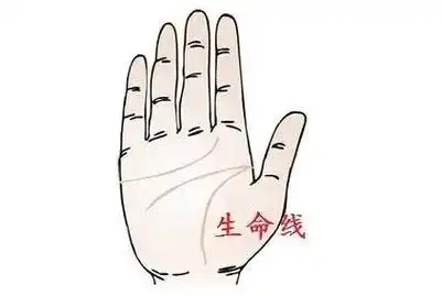 手掌生命线怎么看寿命长短
