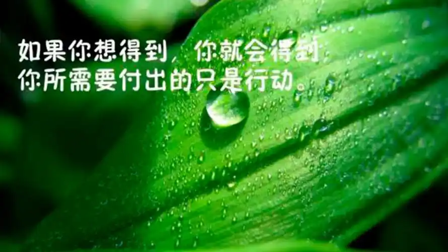 微信励志早安非主流语录,高清图片,电脑桌面-壁纸族