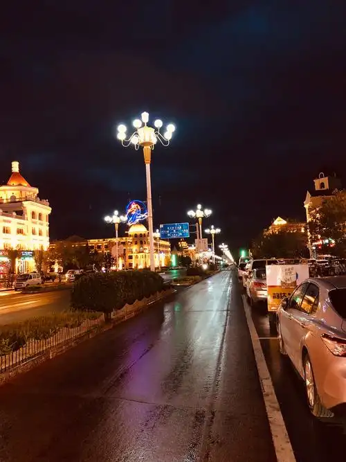 阿尔山市区很小只有一条主街,这是雨中街道夜景