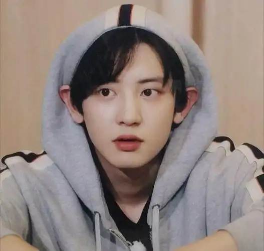 朴灿烈,他绝对是可爱,酷帅,狂,拽,猥琐,各种技能样样都行,大高个,老爱