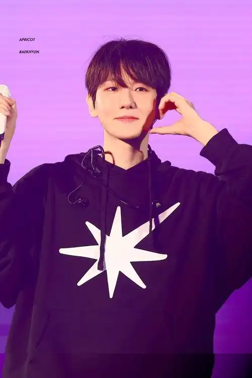 边伯贤亚洲巡演##边伯贤