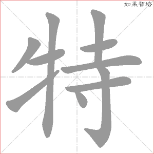 特字的笔顺动画