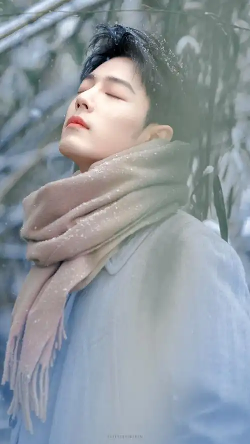 肖战##肖战冬至竹林大片