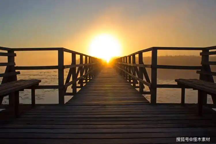 最火的抖音视频素材去哪里找?最火最热门的几个素材网站分享