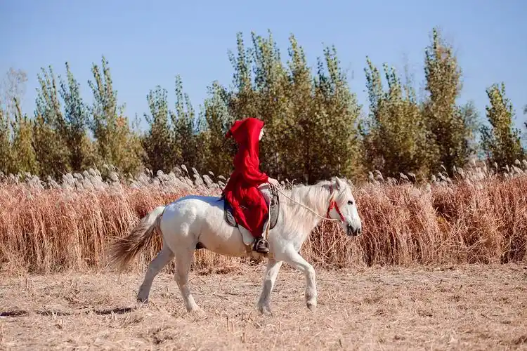 身骑白马走三关