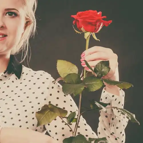 拿着玫瑰花的女人有吸引力的金发年轻女性工作室拍摄深黑色背景美容