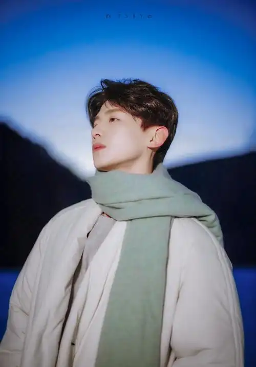 白敬亭cr团扇布圆儿