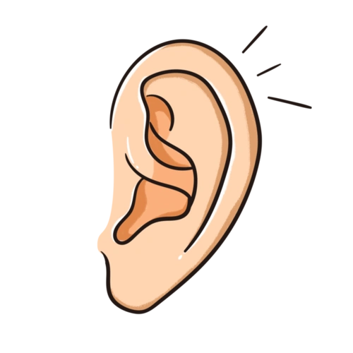 小耳朵大智慧耳穴疗法初级开班啦