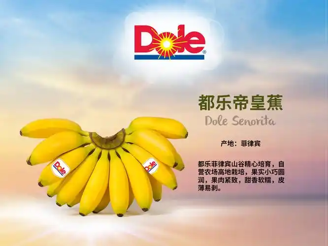 dole 都乐