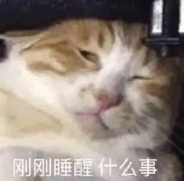 刚睡醒不想理你(猫咪) - 刚睡醒表情包系列刚刚睡醒,这次又是什么瓜