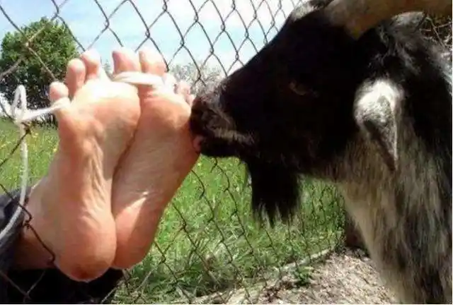 笑刑真的存在吗笑刑是怎么执行的