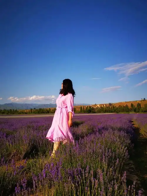 北疆旅游人物照六