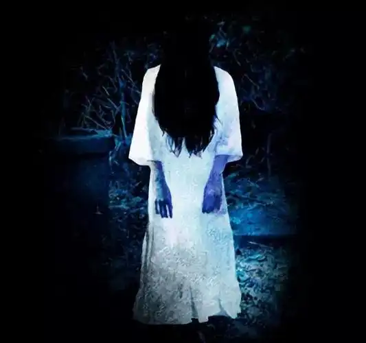 贞子的真实原型被生母推到井里用意念做出录像带