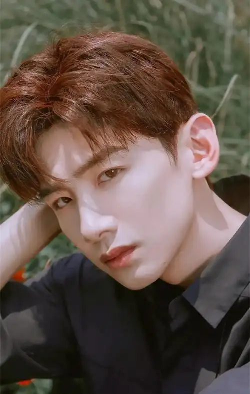 娱乐圈男星们的"神仙颜值"大盘点