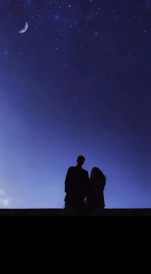 夜空下的情侣恩爱背影1080x2242分辨率查看