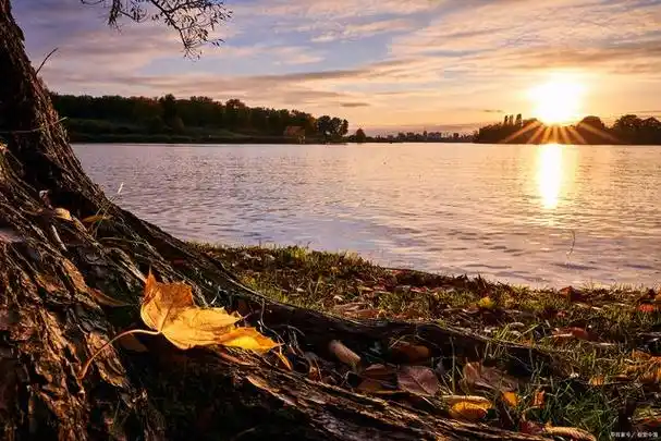 秋天的阳光照在湖面上,湖水泛起一片涟漪,仿佛给人心灵上的治愈