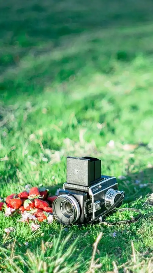 小清新文艺相机摄影