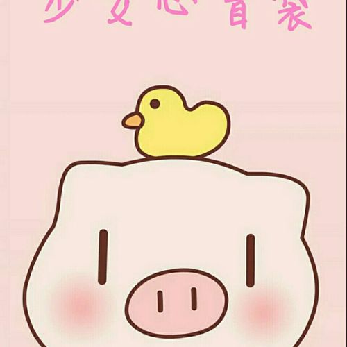 网红同款惊喜少女心自制盲袋笔袋本子镜子推荐猪猪女孩下单呦沫佳