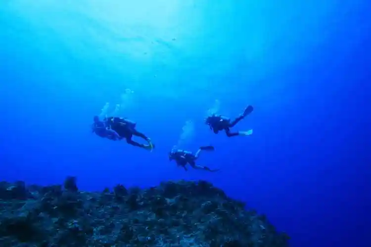 01 鳄鱼山潜点涠洲岛潜点介绍涠洲岛潜水的蕞佳时间为9:00——16:00