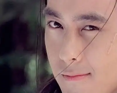 《绝代双骄》-小鱼儿~林志颖