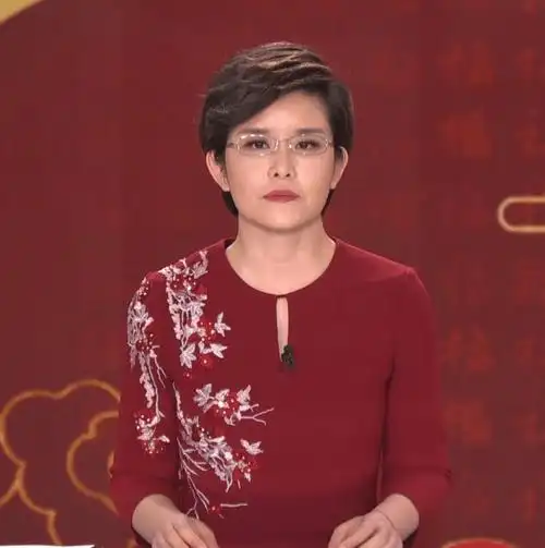 王宁2021年1月6日,与海阳共同主持的《闪亮的名字——2020最美应急