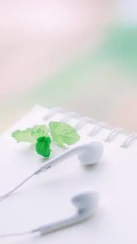 文艺小清新唯美静物