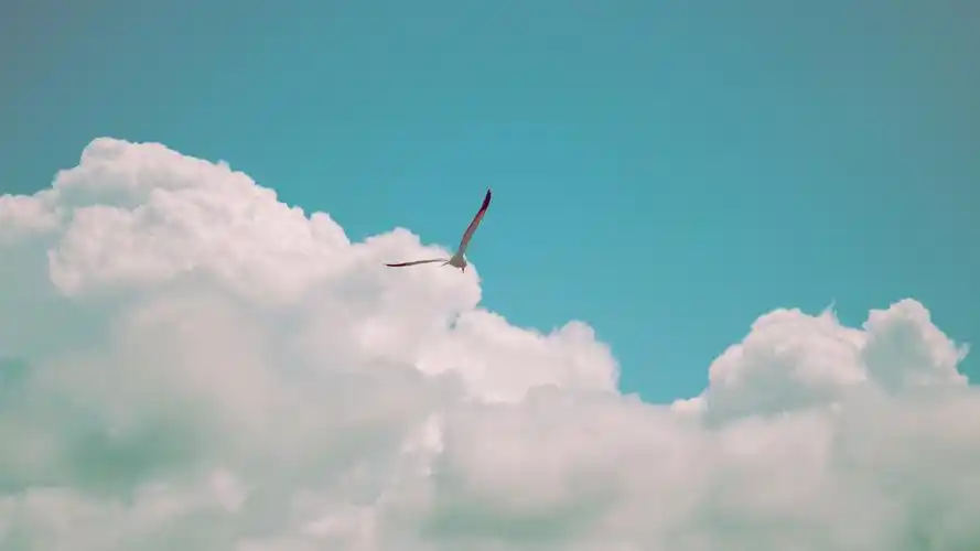 风景风光电脑桌面壁纸,高清绿色护眼