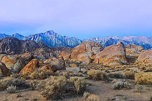 美国,加利福尼亚,阿拉巴马山丘,风景,孤单,松树,顶峰,惠特尼山,画廊