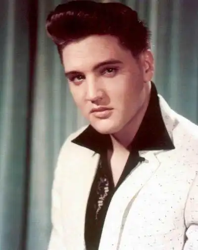 20世纪50,60年代歌手猫王可说是"飞机头"热潮始祖.