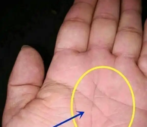 老祖宗俗语三角纹在手富到九十九三角纹在哪里准不准