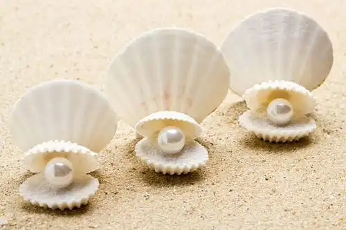 珍珠图片_图片大全