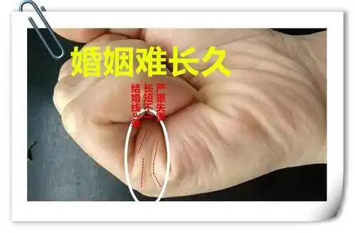 一般的婚姻线都是有一条较明显的主线,如果有两条以上的主线,甚至每条