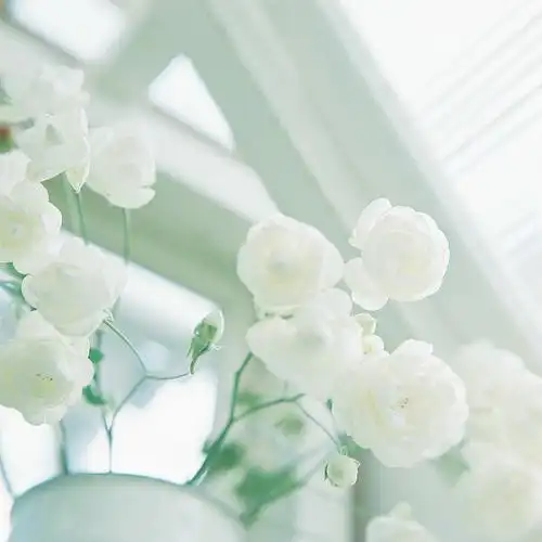 小清新日系伤感意境lomo唯美图片