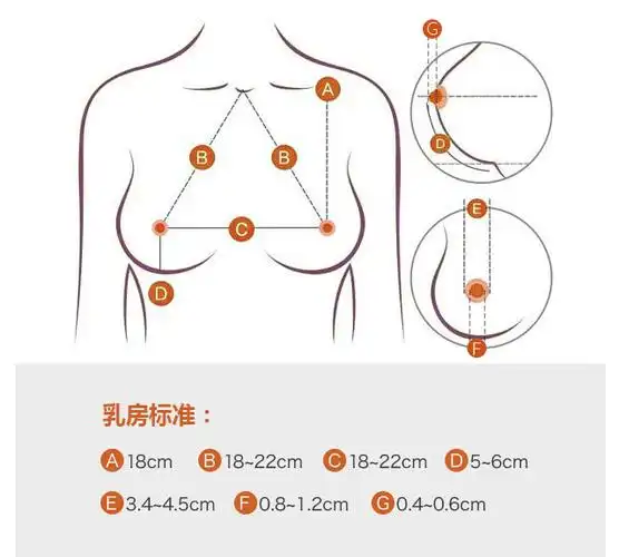 什么样的乳头才算标准?