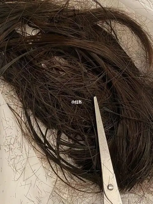 解锁剪头发新技能甚是满意