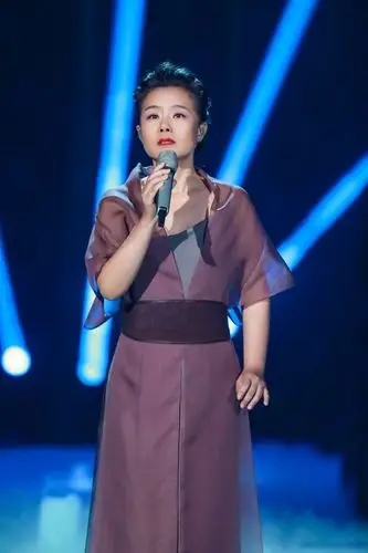 龚琳娜歌手造型古风古韵尽显老艺术家风范输了比赛却赢得口碑