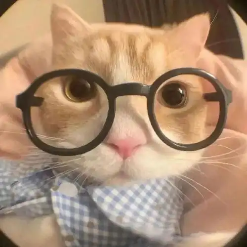 小猫咪情侣头像