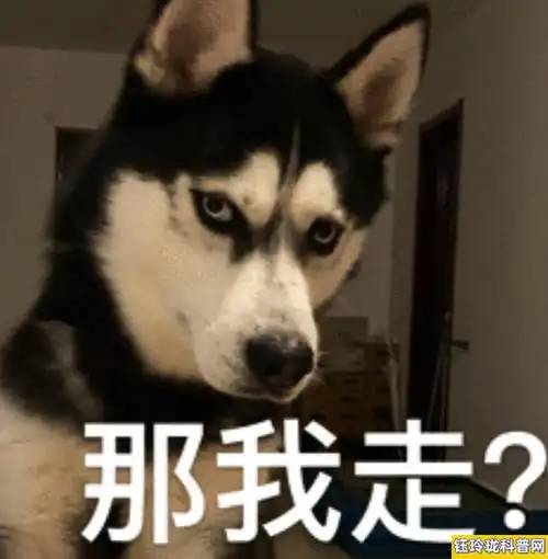 那我走?表情包(是什么意思网络用语)