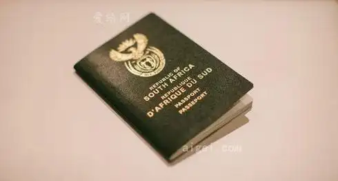 南非共和国护照(republic of south africa passport)