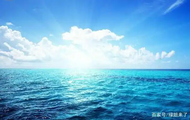 海纳百川 阳光灿烂