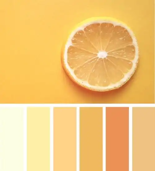 一组清新的色彩搭配方案