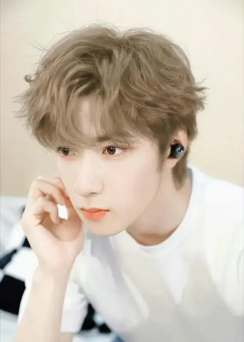 刘耀文 染发#刘耀文适合好多种发色啊!想看舞台上小刘换不同发色