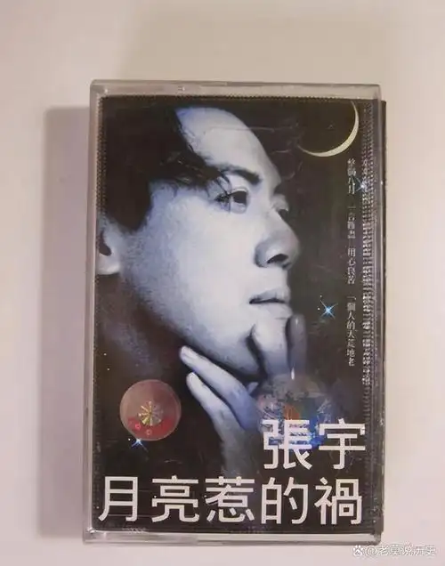 这首歌曲于1998年由张宇演唱,萧慧文作词,张宇作曲,迈克尔·汤姆森