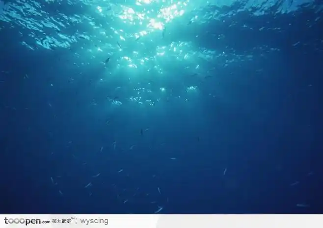 海底世界里的深海鱼群